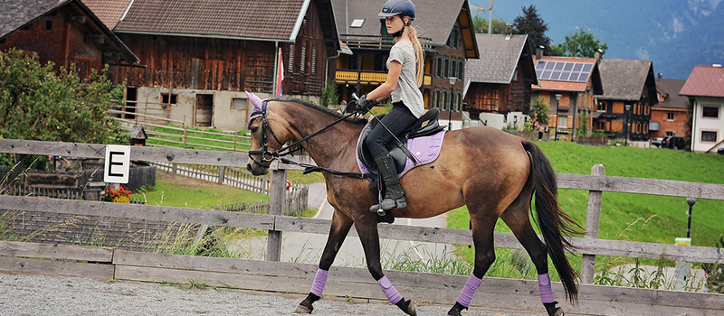Reitunterricht und Umsatzsteuer